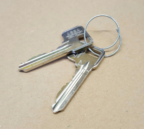 Lotz Cashier key BLOXZ for Plastic locker