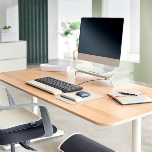 Leitz Screen stand Ergo