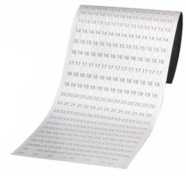 Franken Date strips for year planner