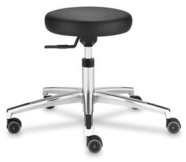 Dauphin ESD stool