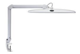 MAUL Dimmable LED table lamp MAULwork, light cool white (daylight white), white