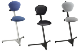 Kappes Standing aid ErgoPlus 3000 with backrest