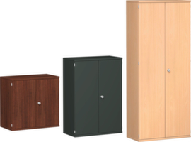 Gera Office hinged door cabinet Pro