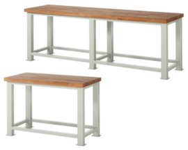 RAU Heavy-duty workbench