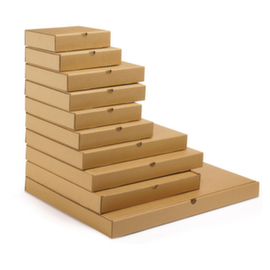 Flat shipping carton