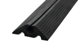 Moravia Cable bridge MORION, width 10000 mm, black