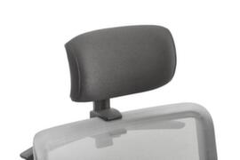 Dauphin Neck support