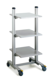 Treston ESD universal trolley