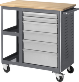 RAU Mobile workbench Basic