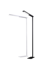 Hansa LED workplace floor lamp Beryll