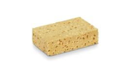 Sponge Azella
