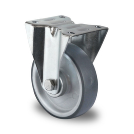 Cascoo Fixed castor