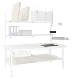 Dual-range industrial scales Classic/Multiplex for packing table