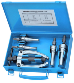 GEDORE 1.31/0 Internal extractor set