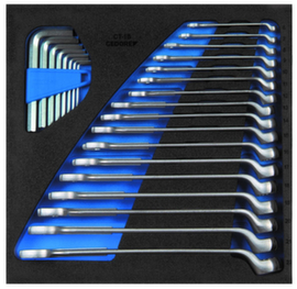 GEDORE 1500 CT2-1 B Combination wrench set in check tool module