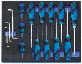 GEDORE 2005 CT2-2160 Screwdriver set in check tool module