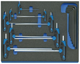 GEDORE 2005 CT2-DT 2142 Hex key L-wrench set in check tool module