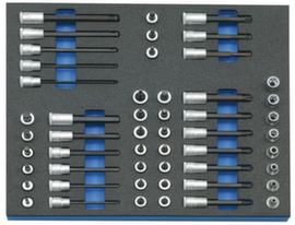 GEDORE 2005 CT2-TX 30 Socket set 3/8" in check tool module