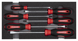 GEDORE RED R22150013 Screwdriver set PH+SL 2/6 CT module 6-piece