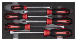 GEDORE R22150014 Screwdriver set PZ+SL 2/6 CT module 6-piece
