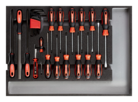 GEDORE R22350002 Tool set screwdrivers + files CT module 26-piece