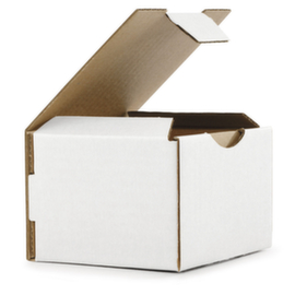 Postal carton