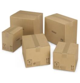 Cardboard insulated box Isopro®