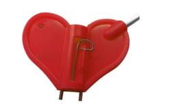 Schake Spare key for Warning light