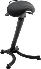 meychair Standing aid Futura Professional AF5, seat height 660 - 870 mm, seat black