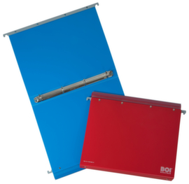 BOI Documentation folder economy click-line