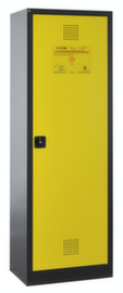 Lacont Chemical cabinet storeLAB