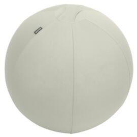 Leitz Seat ball Active