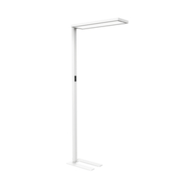 MAUL LED workplace floor lamp MAULsenja