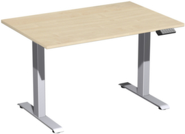 Gera Electrically height-adjustable desk Elevate Basic